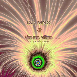 Om Namah Sivaya