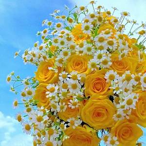 走走停停半生已过