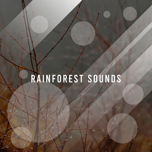 Rain Sound: Lucid Dreaming