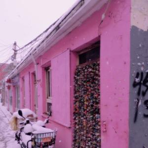 新春序曲（鲤沅）