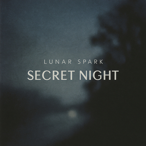 Secret Night