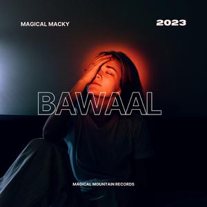 Bawaal