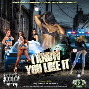 I Know You Like It - Remix (feat. D'Roc The Mencace) (Single)