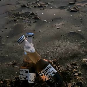 等爱又在逃避爱