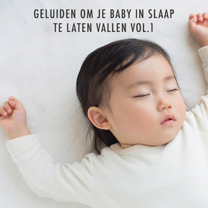 Geluid van een Stofzuiger (Huishouden) (Loopbaar, Geen Vervaging)