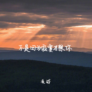 不是因为寂寞才想你 (伴奏)