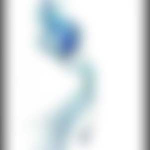 周深 - 大鱼海棠印象曲（琵琶版）