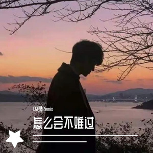 程响-程响 - 怎么会不难过&Dj泉ElectroRemix（DJ泉Remix remix）
