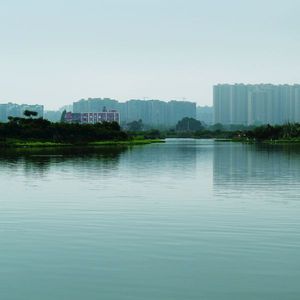 手帕青梅间的空灵之音