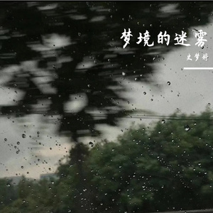 梦境的迷雾