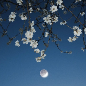 月亮还在老地方