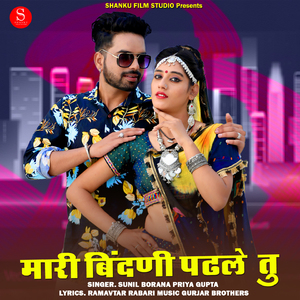 Mari Bindni Padle Tu