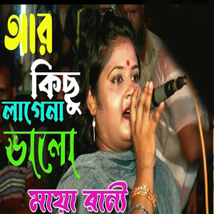 আর কিছু লাগে না ভালো