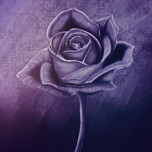 A Thousand Times Good Night