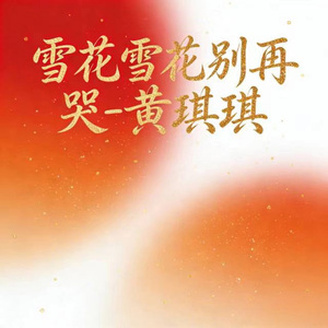 雪花雪花别再哭 (DJ涵哈版)