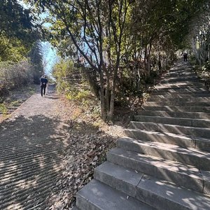 你会不会路过我的明天