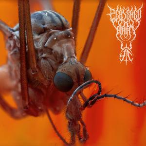 DELUSIONS OF GRANDEUR