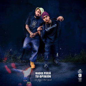 Nadie Pidió Tu Opinión