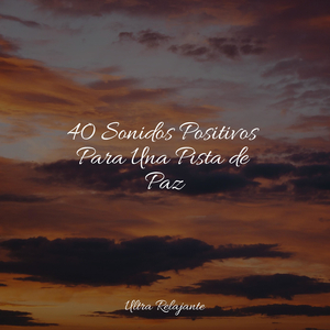 Descansando Suavemente