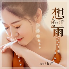 想你的细雨 (DJ默涵版)