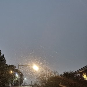 多情种(自要不要买菜)