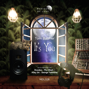 It's You (Alley SA Remix)