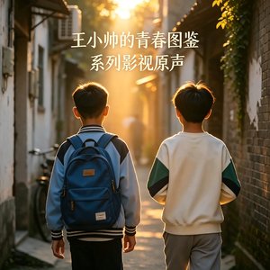 《人海相遇》（王小帅的青春图鉴 系列影视原声）.wav
