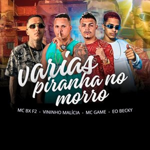 Varias Piranha no Morro