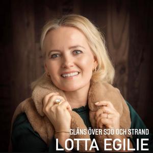 Gläns över sjö och strand