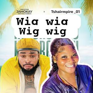 Wig Wig (feat. Tshairmpire & Jamokay)