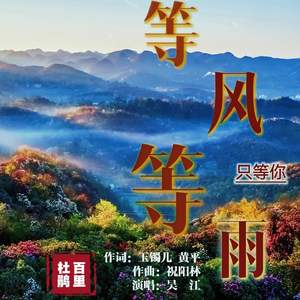 等风等雨只等你