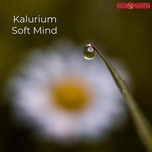 Soft Mind