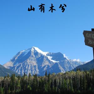 山有木兮