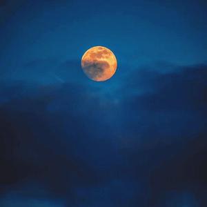 理想的世界不理想