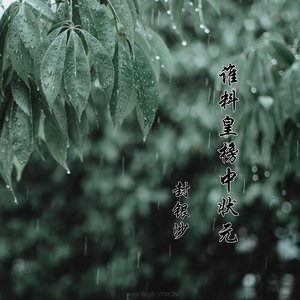 谁料皇榜中状元