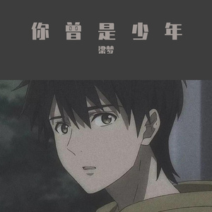 你曾是少年