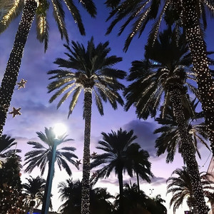 Black silk（3D 环绕版）（Salao remix）