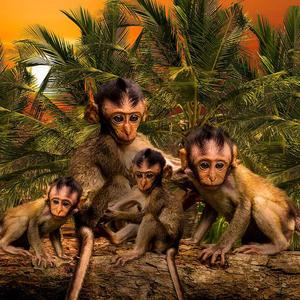 1 2 3 4 (prod.by 天花)