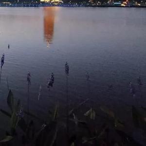 动感光波（翻自二少君）（翻自 二少君）