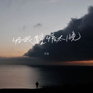 怪我醒悟太晚（伴奏）