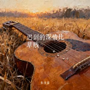 迟到的深情比草贱