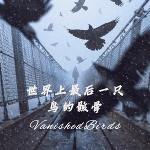 Intro-Vanished Birds(demo）