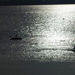 Tõeline mees (Radio Edit)