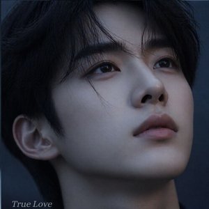 Fall in Love