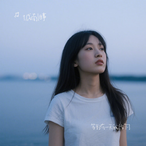 等到有一天我放下了