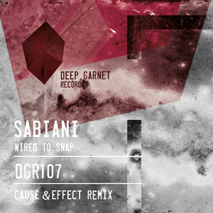 Wired To Snap (Cause & Effect remix)