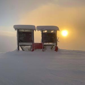 Dont´t pick the scab