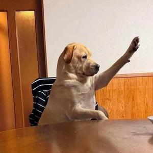 imã de problema (sped up)