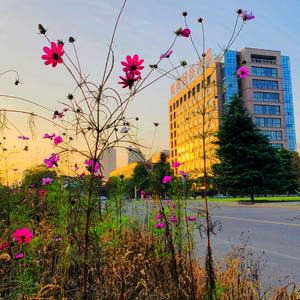 新青年的新长征（陕西科技大学青年大学生原创歌曲）