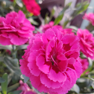 Bądźmy szczęśliwi (feat. Marta Zdanowska)